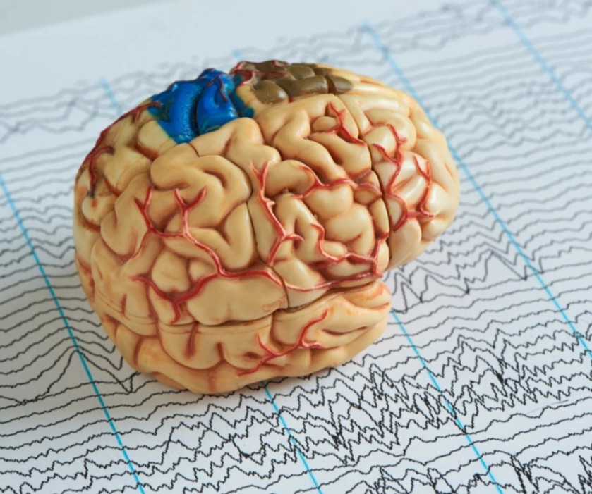 Симптомы фокальной эпилепсии